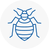 Bed Bug Extermination In E16