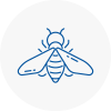 Bee Nest Removal E16