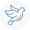 Bird Prevention E16