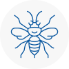 E16 Hornet Nest Removals