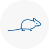 Mice Exterminators In E16