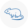 Rat Control E16