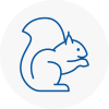 E16 Rodent Removals
