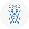 E16 Wasp Nest Removal